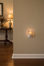 Load image into Gallery viewer, Black and White Horse Night Light