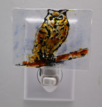 Load image into Gallery viewer, Brown Owl Night Light