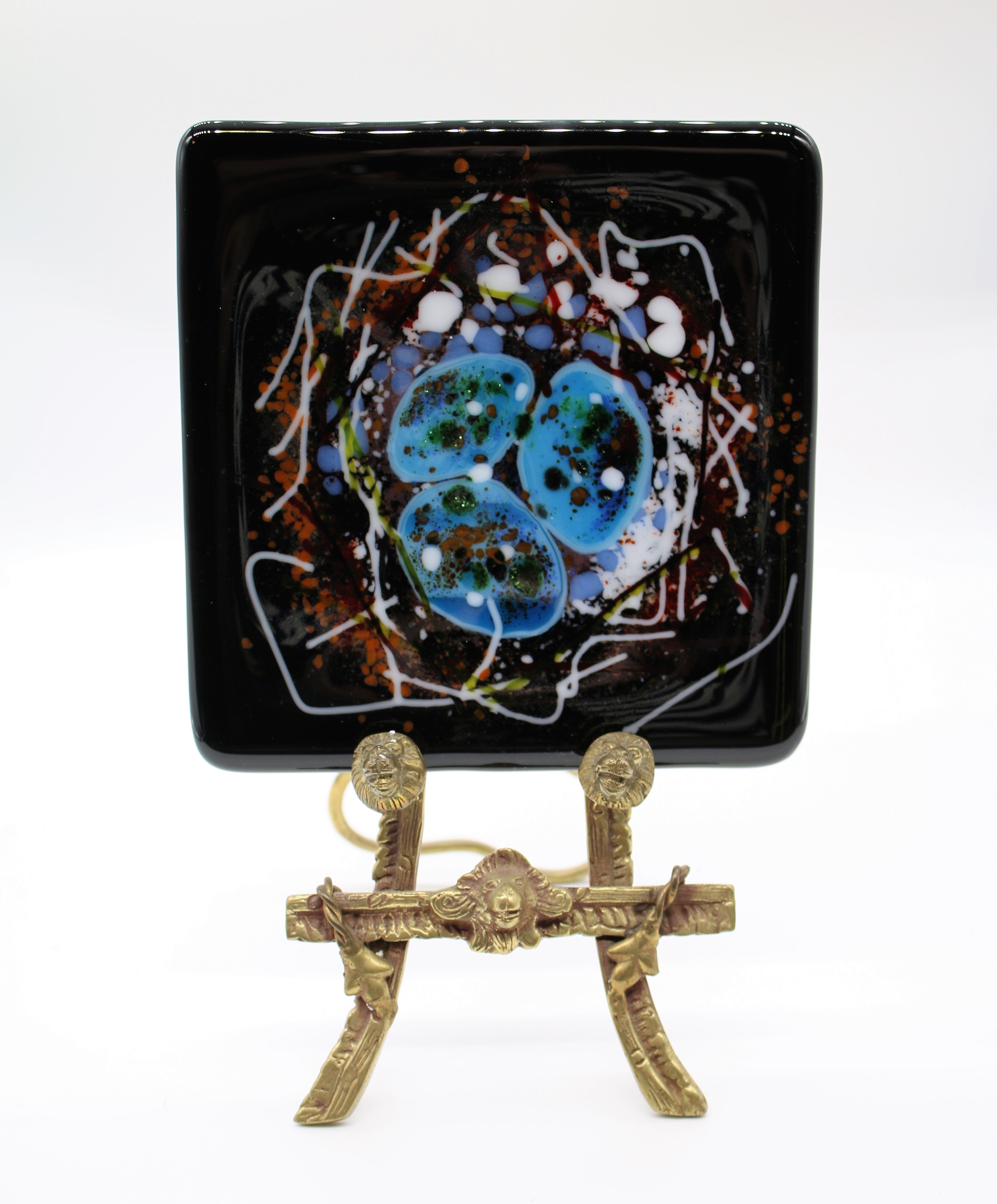 Bird Egg Nest on Dark Black Glass