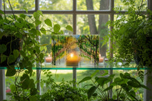 Load image into Gallery viewer, Summer on River Bank S Curve
