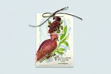 Load image into Gallery viewer, Cardinal Sympathy Card
