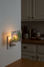 Load image into Gallery viewer, Birch Tree In Winter Night Light

